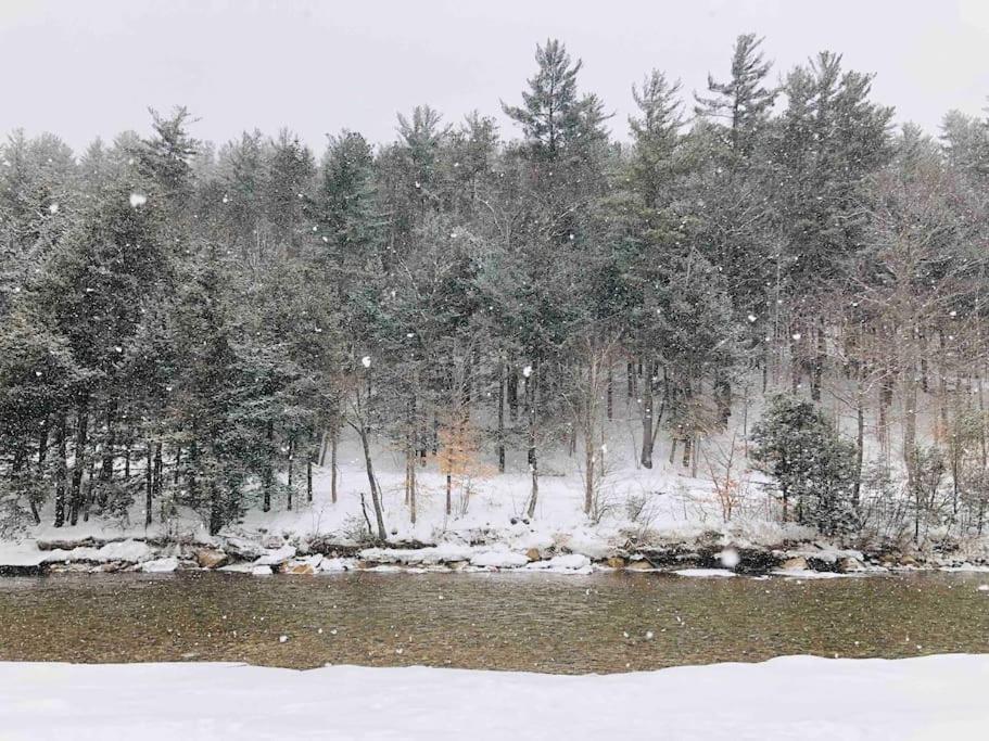 Attitash Mountain Village Studio - Slope View - Ski - Storyland Bartlett Bagian luar foto