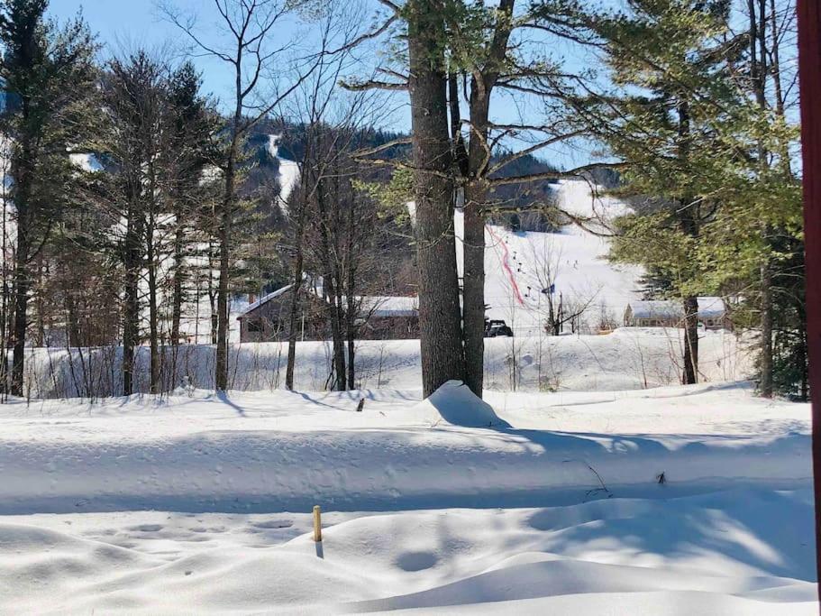 Attitash Mountain Village Studio - Slope View - Ski - Storyland Bartlett Bagian luar foto